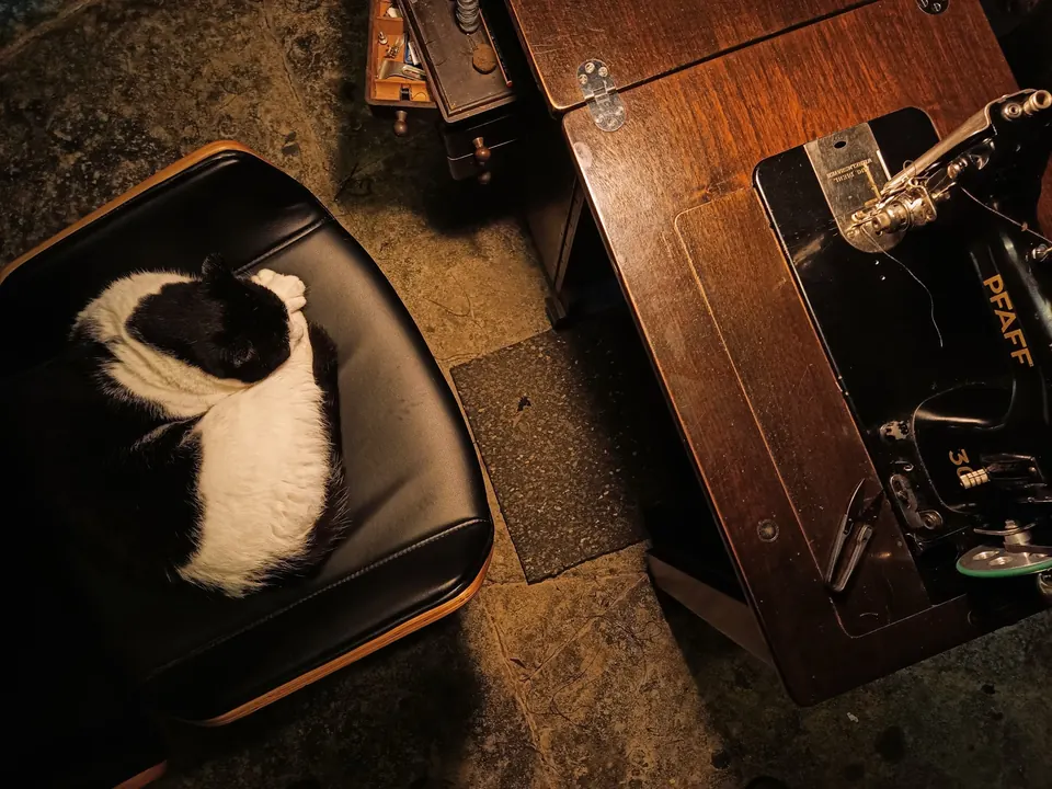 Schwarz-weiße Katze schläft auf einem Lederhocker neben einer alten Pfaff-Nähmaschine.